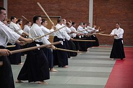 uczestnicy stażu aikido