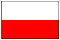 flaga Polski - Współpraca partnerska