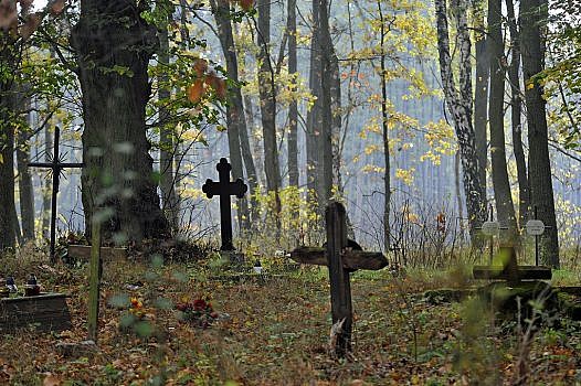 krzyże wśród drzew na starym cmentarzu w Chojnicy