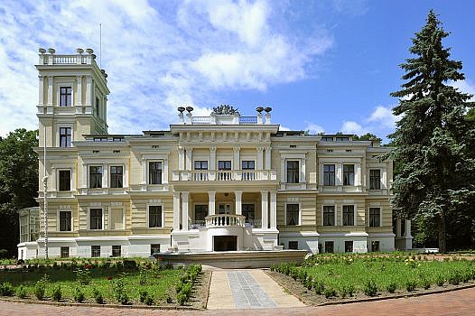 budynek pałacu w Biedrusku