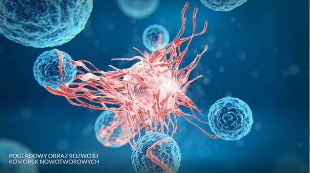 rozwój komórki nowotworowej