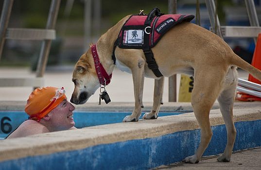 pies przewodnik stoi przy krawędzi basenu i nachyla się przyjaźnie w kierunku mężczyzny w pomarańczowym czepku, który znajduje się w basenie