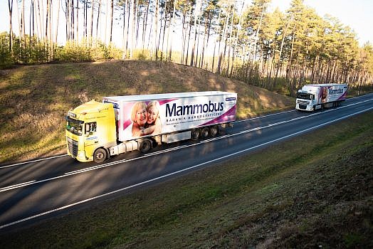dwa mammobusy jadące drogą w otoczeniu lasu