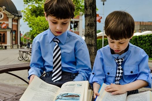 dwóch chłopców widocznych od przodu czyta podręczniki