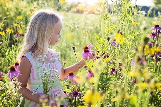 Dziecko z bukiecikiem kwiatów, stojące na łące kwitnących kwiatów