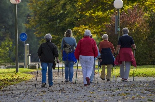 widok na grupę seniorów na spacerze nordic walking
