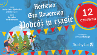 grafika do gry