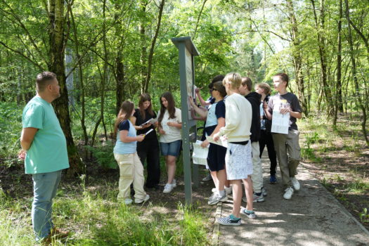 spotkania plenerowe dla uczniów klas 6 na Terenie aktywnej Edukacji i Sportu z udziałem eko-edukatora