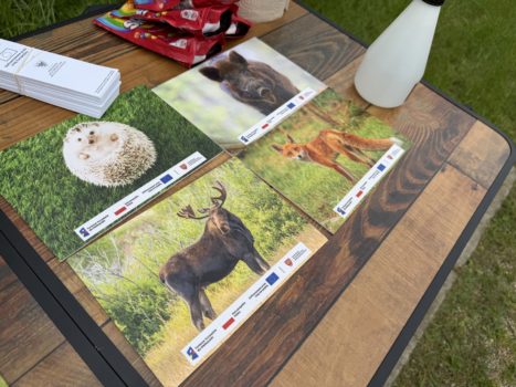 Edukacyjna gra terenowa dla mieszkańców z udziałem dendrologa / ornitologa