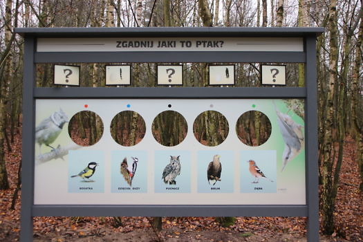 Tablica edukacyjna.