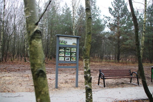 Widok zza drzew na tablicę edukacyjną.