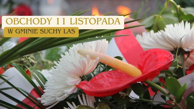 11 listopada 2024 r. w gminie Suchy Las