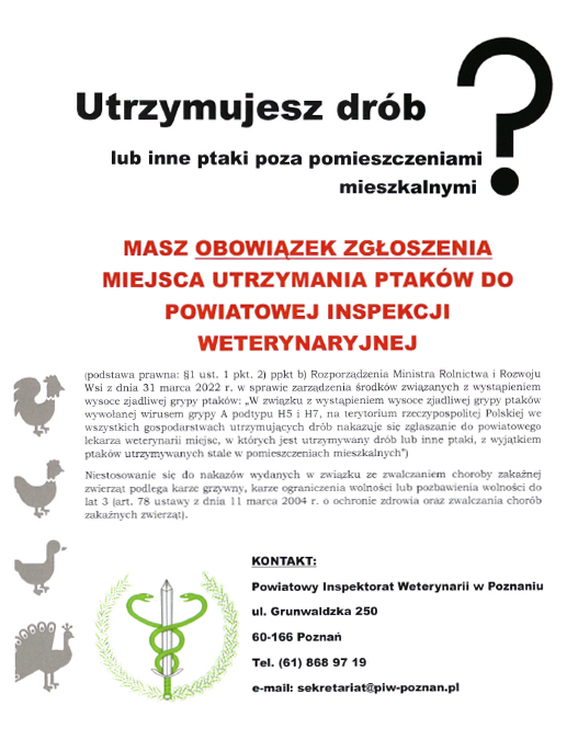 Utrzymujesz drób lub inne ptaki poza pomieszczeniami mieszkalnymi? Masz obowiązek zgłoszenia miejsca utrzymania ptaków do powiatowej inspekcji weterynaryjnej