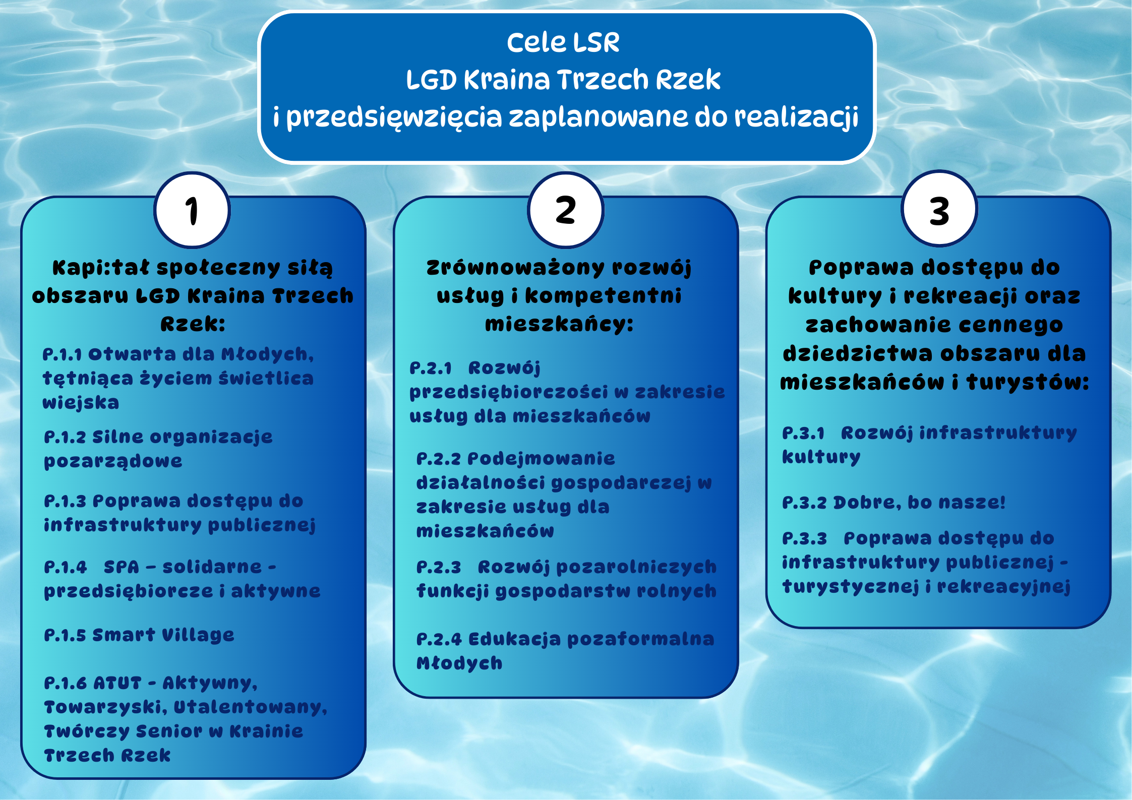 Cele LSR.