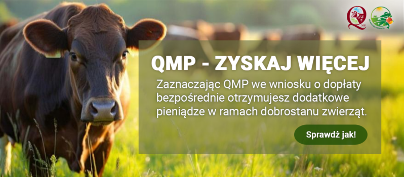 QMP - zyskaj więcej