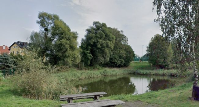 Widok na staw w Chludowie