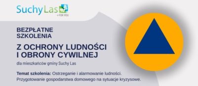 grafika informacyjna