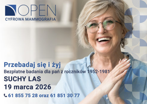 grafika informacyjna