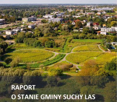 Zdjęcie przedstawiające sucholeską łąkę z lotu ptaka.