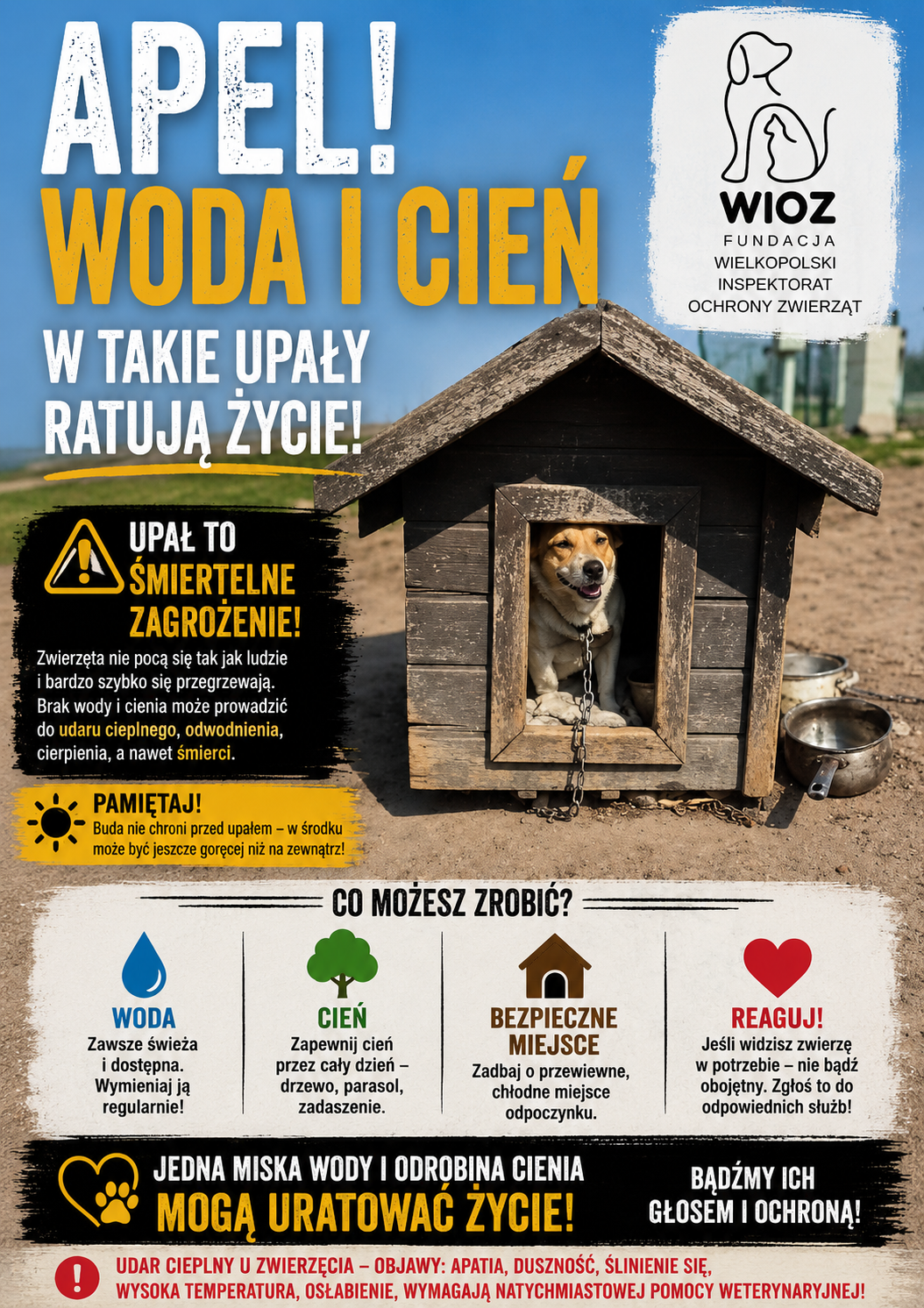 Plakat informujący o akcji.