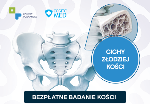 Grafika z obrazem kości miednicy i przekroju kości.
