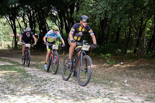 Gogol MTB050819 3